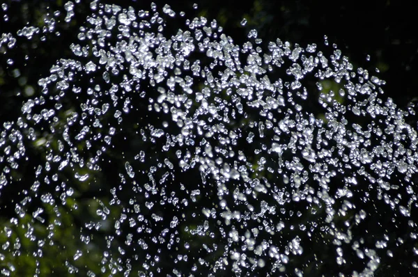 Blue water drops on dark background