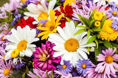 Papatya ve diğer çiçeklerden bir buket