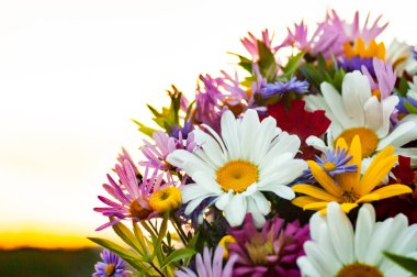 Papatya ve diğer çiçeklerden bir buket