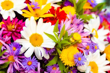 Papatya ve diğer çiçeklerden bir buket