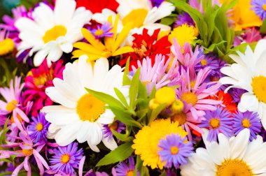 Papatya ve diğer çiçeklerden bir buket