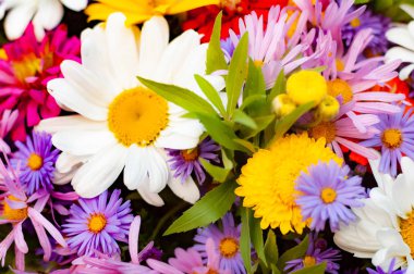 Papatya ve diğer çiçeklerden bir buket