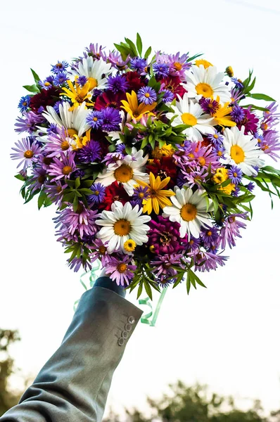 Strauß aus einer Kamille und anderen Blumen — Stockfoto