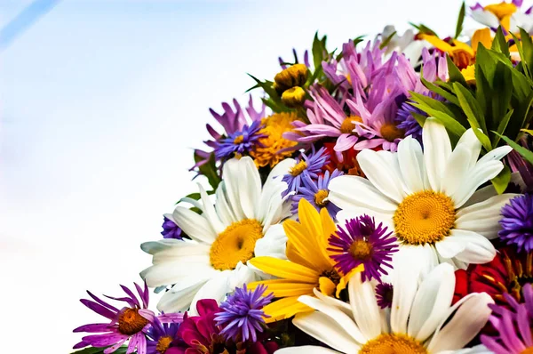 Strauß aus einer Kamille und anderen Blumen — Stockfoto