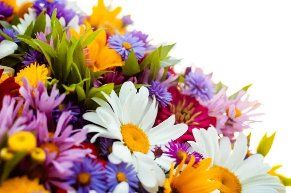 Strauß aus einer Kamille und anderen Blumen — Stockfoto