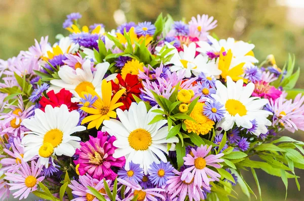 Strauß aus einer Kamille und anderen Blumen — Stockfoto