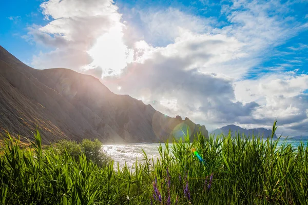 Gras Achter Zee Bergen Achtergrond Het Weer Zonnig Bewolkt — Stockfoto