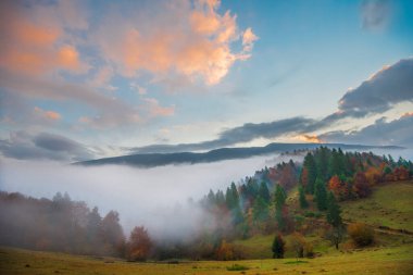 Tepe kenarındaki çayırların manzarası. Arka planda yükselen parlak güneş var. Sabah güneşi, yuvarlanan tepeleri ışık ışınlarıyla aydınlatıyor. Doğa ve çevre kavramı.