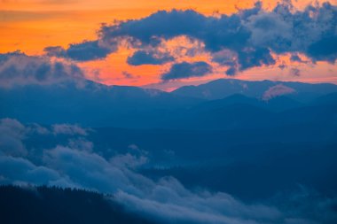 Kozalaklı ormanda nefes kesici şafak manzarası. Arka planda sihirli gökyüzü olan köknar ağaçlarının siluetleri. Doğanın güzelliği kavramı.
