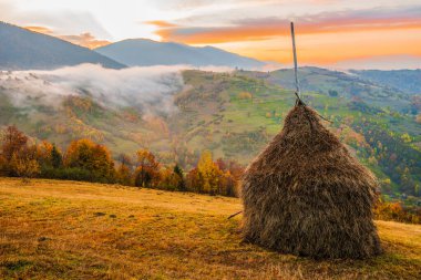 Sisli dağların üzerindeki parlak renkli gökyüzü manzarası. Sisli bir sabah vadisinde otlak tepesinde muhteşem bir gündoğumu. Doğa kavramı.