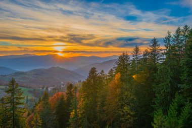 Tepe kenarındaki çayırların manzarası. Arka planda yükselen parlak güneş var. Sabah güneşi, yuvarlanan tepeleri ışık ışınlarıyla aydınlatıyor. Doğa ve çevre kavramı.