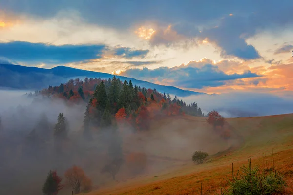 View Beautiful Landscape Hillside Meadow Bright Rising Sun Background Morning — Stock Photo, Image