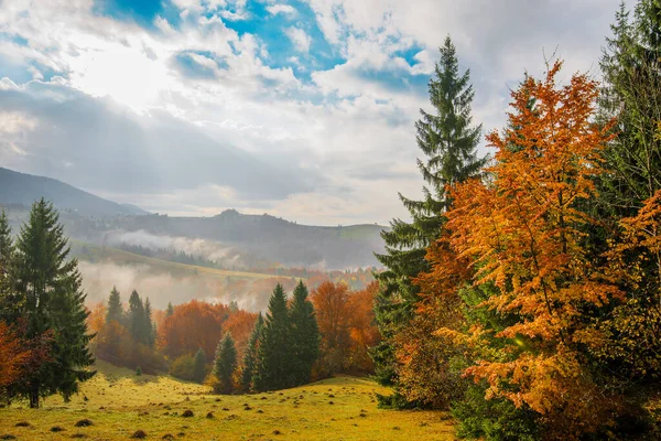 Vista Salida Del Sol Bosque Montaña Con Cielo Nublado Dramático — Foto de Stock