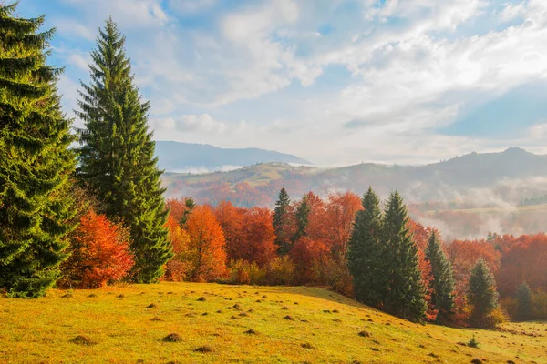 Vista Salida Del Sol Bosque Montaña Con Cielo Nublado Dramático — Foto de Stock