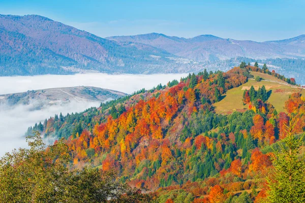 Utsikt Över Pittoresk Bergsdal Med Blå Himmel Bakgrunden Magnifika Högländer — Stockfoto