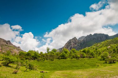 Resimli manzara, yağmur bulutları, yeşil bitkilerle kaplı dağlar, tepelerin arasından geçen kır yolları.