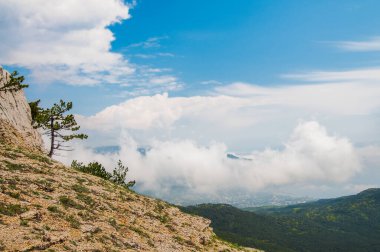 Ön planda yosunlarla kaplı dev bir taş dağın yamacındaki ağaçlar, vadideki yeşil çimenler.