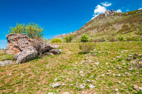 Vue Sur Les Immenses Falaises Rocheuses Vallée Verte Couverte Forêt — Photo