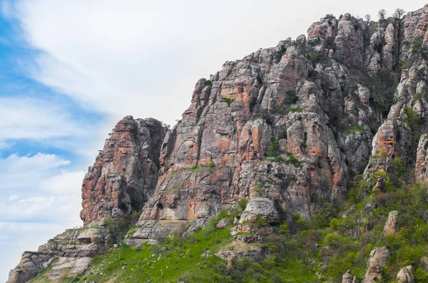 Premier Plan Énorme Pierre Couverte Mousse Arbres Sur Flanc Montagne — Photo