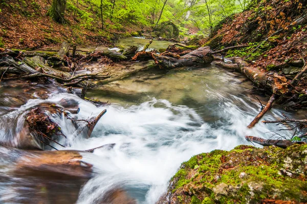 Små Bergsvattenfall Rinner Över Mossiga Stenar Och Täcks Dimma Ormbunken — Stockfoto