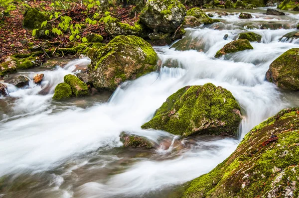 Små Bergsvattenfall Rinner Över Mossiga Stenar Och Täcks Dimma Ormbunken — Stockfoto