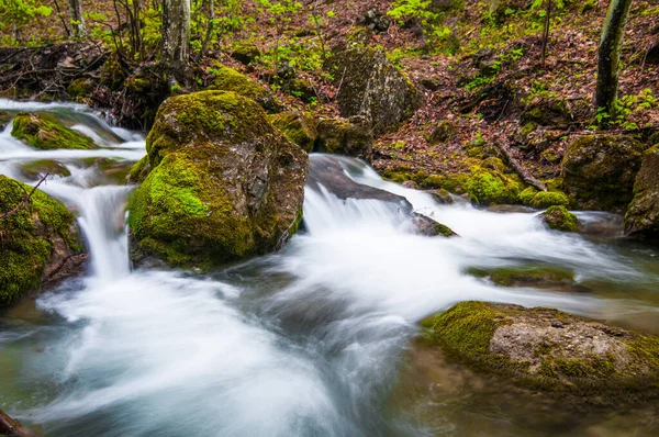 Pequeño Arroyo Fluye Con Cascada Piedras Musgosas Alrededor Árbol Caído —  Fotos de Stock