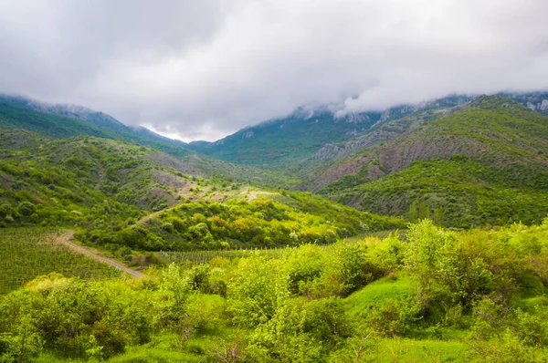 Resimli manzara, yağmur bulutları, yeşil bitkilerle kaplı dağlar, tepelerin arasından geçen kır yolları.