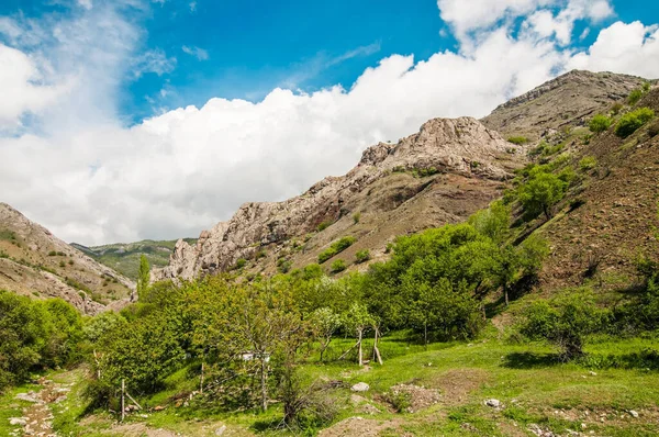 俯瞰着布满森林的巨大岩石悬崖和绿谷 美丽的山景 — 图库照片