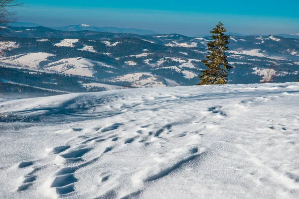 Prachtig Winterpanorama Van Heuvels Met Een Dikke Laag Sneeuw Achtergrond — Stockfoto