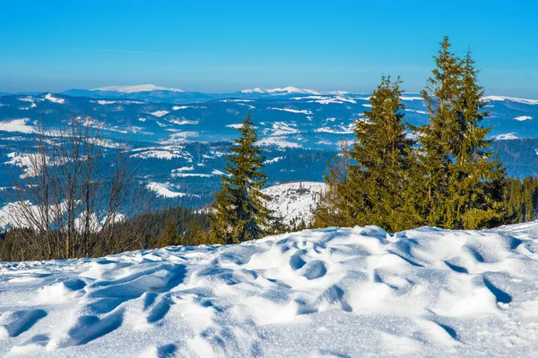 Bosque Abeto Invierno Con Vistas Las Montañas Hermosa Naturaleza Invernal — Foto de Stock