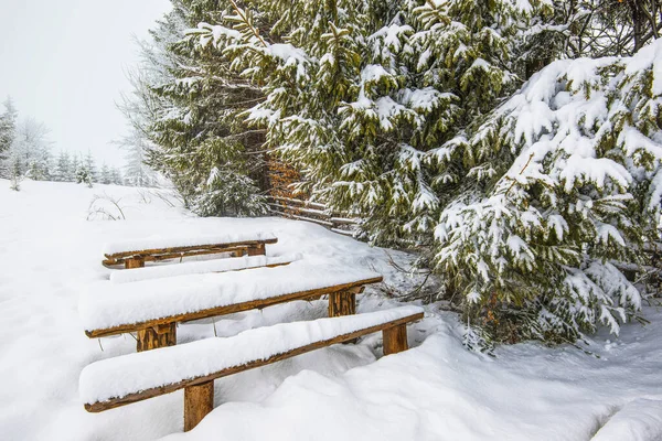 Snow-covered benches stand in high snowdrifts near snow-covered majestic fir trees on a frosty winter day. The concept of winter tourism and trekking