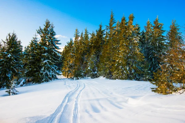 Vista Embrujada Pista Esquí Con Una Hermosa Vista Del Bosque — Foto de Stock