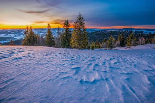 Tichá Krajina Horském Údolí Smrkovým Lesem Sněhovými Závějemi Pozadí Zapadajícího — Stock fotografie