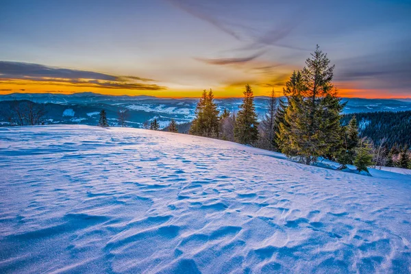 Tichá Krajina Horském Údolí Smrkovým Lesem Sněhovými Závějemi Pozadí Zapadajícího — Stock fotografie