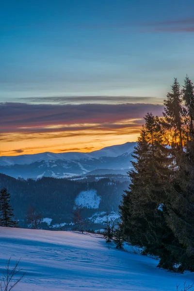 Befriedende Landschaft Gebirgstal Mit Fichtenwald Und Schneeverwehungen Vor Der Kulisse — Stockfoto