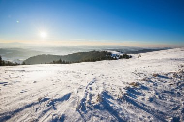 Tepelerde yetişen çam ve ladin ormanlarının büyüleyici manzarası beyaz bulutların mavi gökyüzüne ve parlak güneşe karşı kar yığınları arasında. Kış Ormanına Yolculuk.