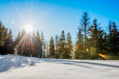 Kayak yamacının büyüleyici manzarası karlı tepe kozalaklı orman ve güneşli dağ sıraları açık ve soğuk bir günde. Kayak merkezinde rahatlama kavramı. Metin için yer