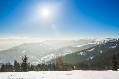 Tepelerde yetişen çam ve ladin ormanlarının büyüleyici manzarası beyaz bulutların mavi gökyüzüne ve parlak güneşe karşı kar yığınları arasında. Kış Ormanına Yolculuk.