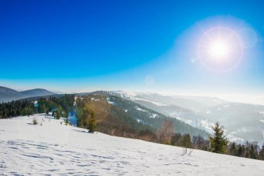 Tepelerde yetişen çam ve ladin ormanlarının büyüleyici manzarası beyaz bulutların mavi gökyüzüne ve parlak güneşe karşı kar yığınları arasında. Kış Ormanına Yolculuk.