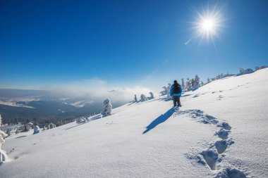 Karlı bir kış gününde, kar yığınının içinde ve sisin içinde duran bir ormanı fotoğraflayan bir gezgin fotoğrafçının arka görüntüsü. Doğabilimci ve doğa aşığının konsept yolculuğu