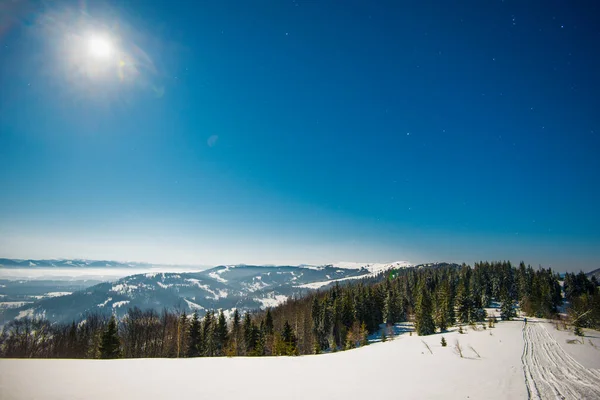 Prachtige Slanke Dennenbomen Groeien Tussen Besneeuwde Sneeuwdrijvingen Een Heuvel Tegen — Stockfoto