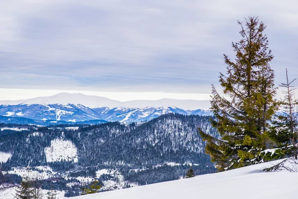 Hermoso Panorama Invernal Las Colinas Con Una Gruesa Capa Nieve — Foto de Stock