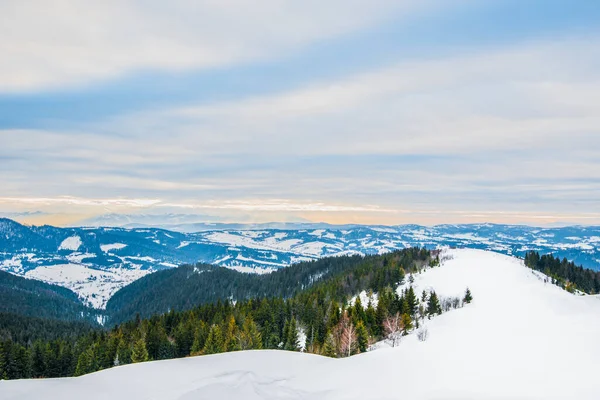 美丽的山坡全景 小径俯瞰群山 冬天的傍晚 针叶林阴冷多霜 冬季旅游和休闲的概念 广告空间 — 图库照片