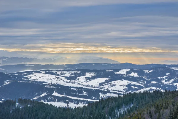 Prachtige Panorama Van Berghellingen Met Paden Met Uitzicht Heuvels Naaldbossen — Stockfoto