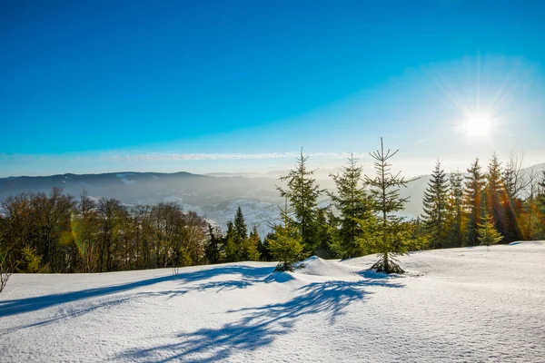 Vista Embrujada Pista Esquí Con Una Hermosa Vista Del Bosque — Foto de Stock