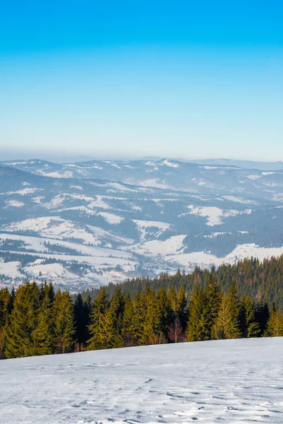 Winterwald Aus Fichten Mit Blick Auf Die Berge Schöne Winternatur — Stockfoto