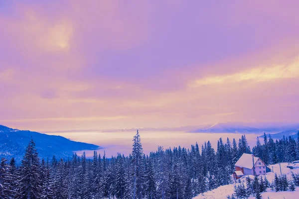 Betoverende Winterlandschap Van Bergen Bossen Winter Met Een Zonsondergang Hemel — Stockfoto