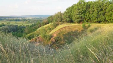 Vadinin tepeden panoramik manzarası.