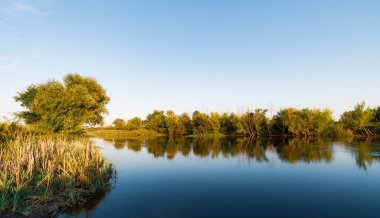Büyük, sessiz bir göl manzarası ve yaz günü sakin, serin bir su. Güzel kırsal manzara, açık mavi gökyüzü, ağaçlar, çalılar ve yeşil bitkiler. Doğa güzelliği kavramı.