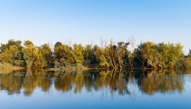 Büyük, sessiz bir göl manzarası ve yaz günü sakin, serin bir su. Güzel kırsal manzara, açık mavi gökyüzü, ağaçlar, çalılar ve yeşil bitkiler. Doğa güzelliği kavramı.